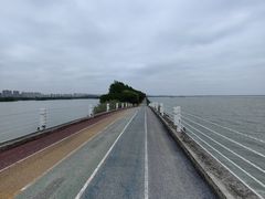 -贡湖湾湿地公园