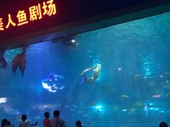 -福州罗源湾海洋世界旅游区