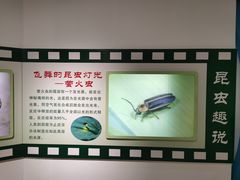 -上海昆虫博物馆