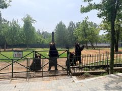 -秦皇岛野生动物园