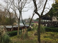 -西溪国家湿地公园