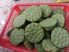 -梁鸿国家湿地公园