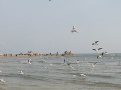 -老虎石海上公园