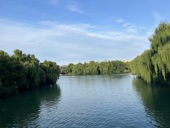 -济南大明湖景区