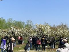 -江苏三台山国家森林公园