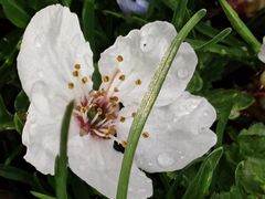 -唐城墙遗址公园