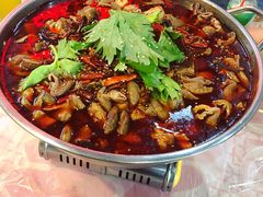 -时二崽肥肠鸡大排档(健康路店)