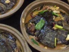 甲鱼-鼎丰大酒店(东风新村店)