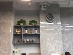 -INS羽毛接发·巴黎画染