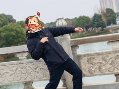 -八大山人梅湖景区