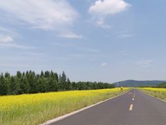 -塞罕坝国家级自然保护区