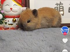 -COMMUNE幻师(解放西路店)