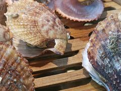 烤一大盘子獐子岛小扇贝-喝丢一只鞋海鲜烧烤·海肠捞饭(市场店)