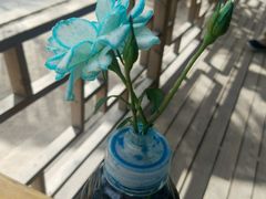 -亚龙湾国际玫瑰谷