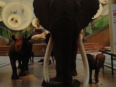 -陕西自然博物馆