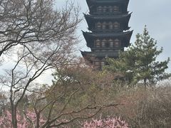 -上海方塔园