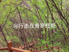 -大岭沟猕猴桃谷风景区