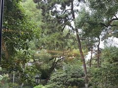 -浙江西子宾馆·瑶园咖啡厅