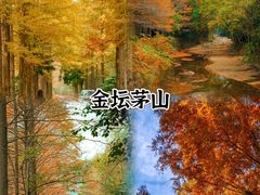 -红梅公园