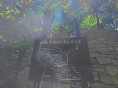 -井塘古村