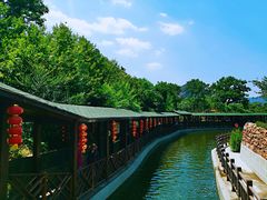 -山叶口景区