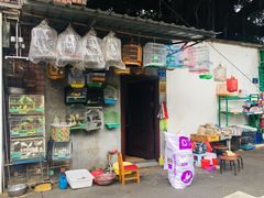-溪岸路花鸟市场