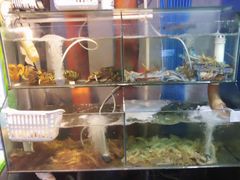 -美味海鲜大排档(明发美食地标店)