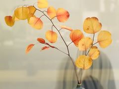 -听雨小筑茶舍(观音桥·龙湖新壹街店)