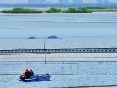 -滆湖低碳生态公园