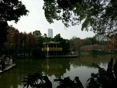 android_upload_pic-晓港公园
