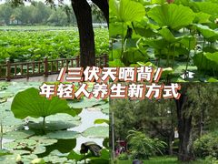 -长春市南湖公园