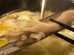 -鲜入围煮花胶鸡海鲜火锅