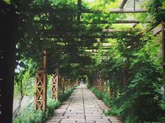 -北京张裕爱斐堡酒庄