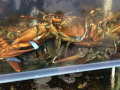 -众彩物流水产市场