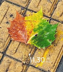 -Oasis Beauty水磨坊科技美肤中心