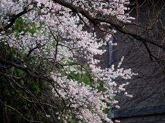 -山东大学(趵突泉校区)