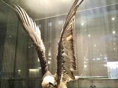 -青藏高原自然博物馆