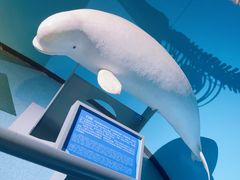 -泉城欧乐堡海洋极地世界