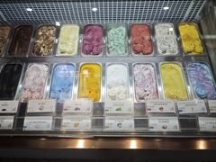 -iceason爱茜茜里·意大利健康冰淇淋(骑龙巷店)