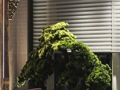 -苏淮景·苏闽融创菜·海鲜(原空港井河轩店)