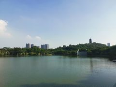 -农汤老店(顺联公园里店)