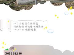 -小鱼草莓采摘园农家乐·小鱼餐厅