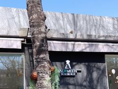 -ALAMEEN阿拉伯餐厅(三里屯店)