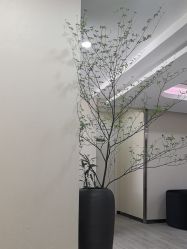-北京炫美医疗美容