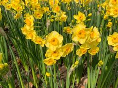 -上海四季花港-停车场