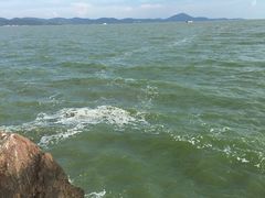-上海市保健医疗中心(华东疗养院)