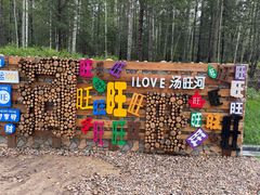 -汤旺河林海奇石景区