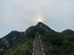 -大岭沟猕猴桃谷风景区