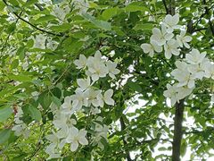 -长春市南湖公园