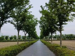 -嘉北郊野公园